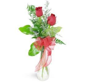 You & Me! - Blooms of Paradise