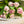 Load image into Gallery viewer, Chanel - Inspired Pink Tulip Bouquet - Blooms of Paradise Cambridge
