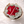 Load image into Gallery viewer, Red Rose Pearl Bouquet - Cambridge Flowers &amp; Co.

