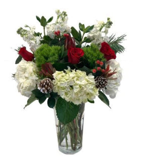 ASPEN - Blooms of Paradise