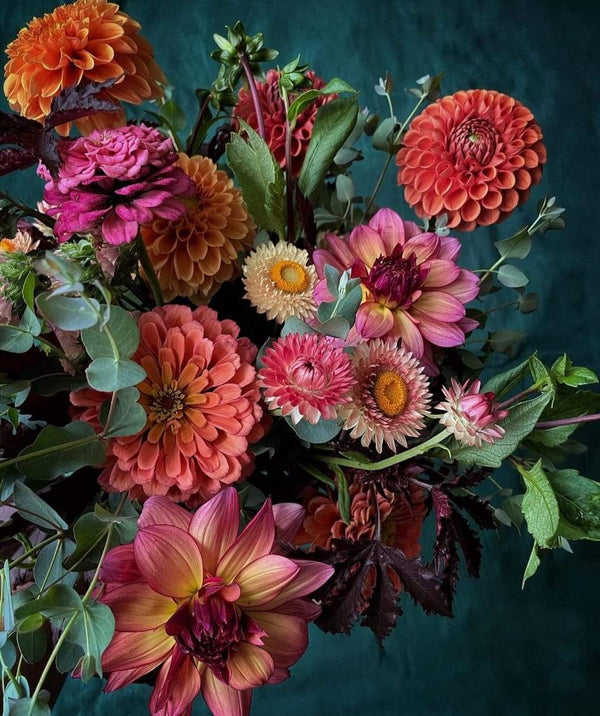 Autumn Designers Choice - Blooms of Paradise