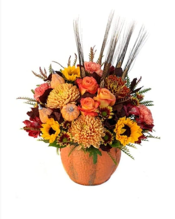 Autumn Pumpkin - Blooms of Paradise