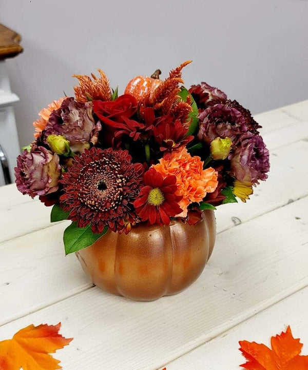 Blooms in Fall - Blooms of Paradise