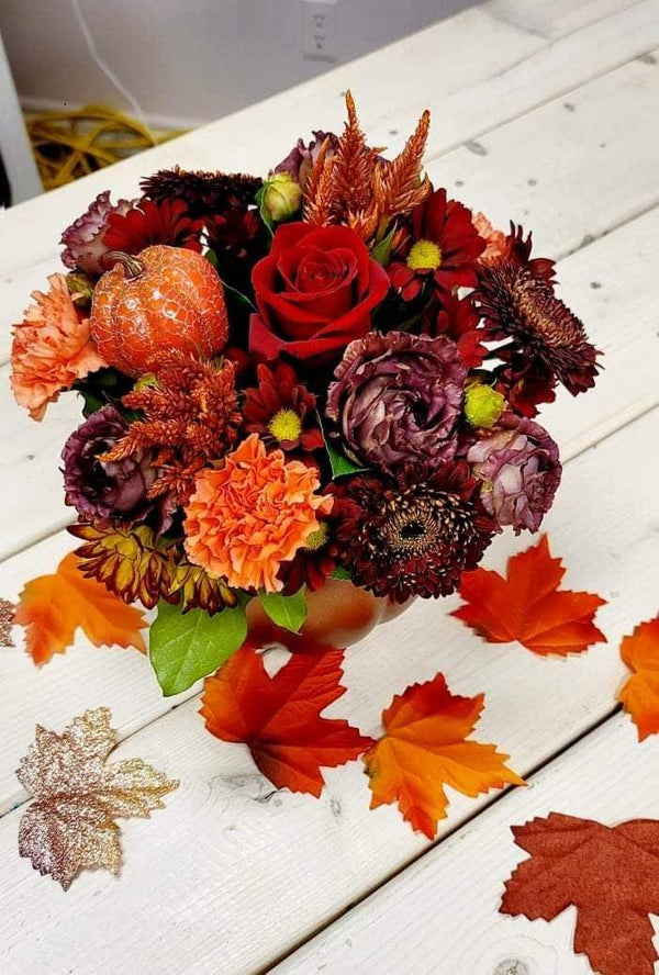 Blooms in Fall - Blooms of Paradise