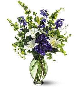 Blue Touch - Blooms of Paradise