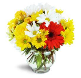 Bright Delight floral arrangement for any occasion from Blooms Of Paradise