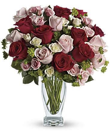 Cupid's Arrow Anniversary Roses perfect for Valentine's Day, Blooms Of Paradise3