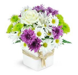 Enchanting Maui Birthday Flowers with Blooms Of Paradise