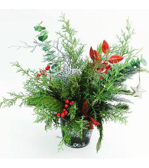 Evergreen Cheer - Blooms of Paradise