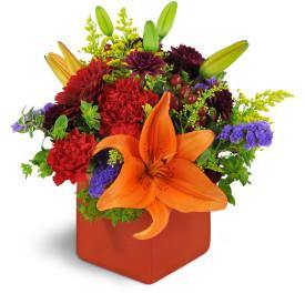 Fruit of the Bloom Flowers for Him Birthday Blooms Of Paradise
