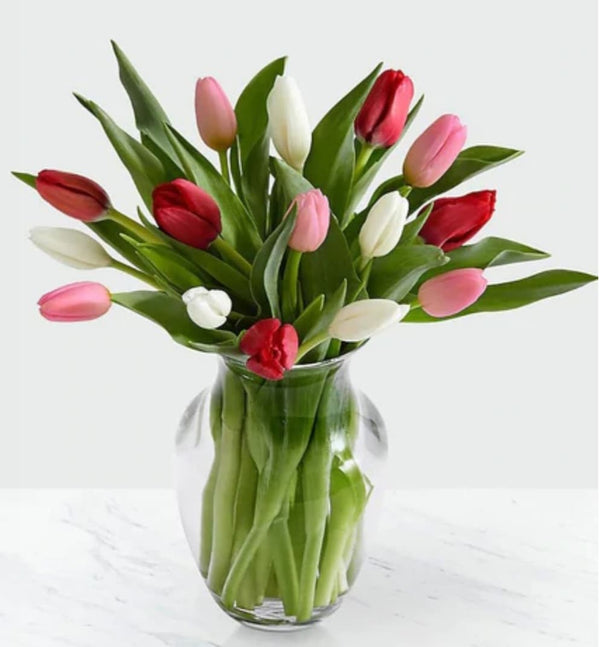 Here In My Heart Tulip - Blooms of Paradise