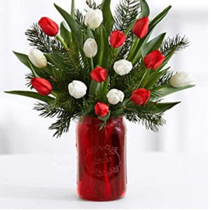 HOLIDAY TULIPS - Blooms of Paradise