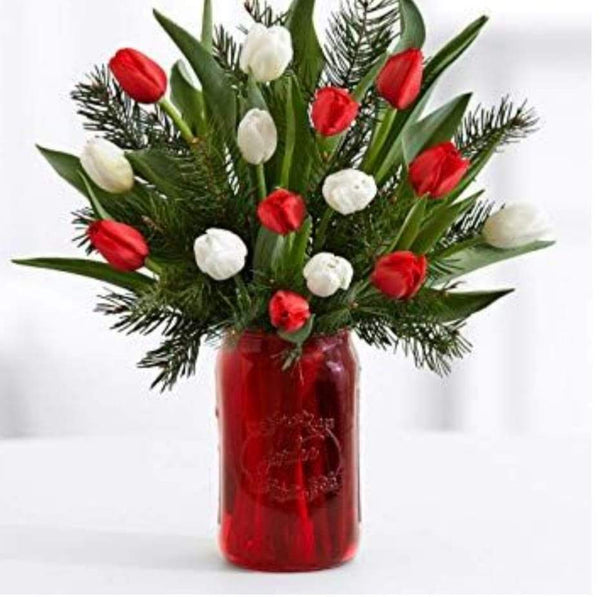 HOLIDAY TULIPS - Blooms of Paradise