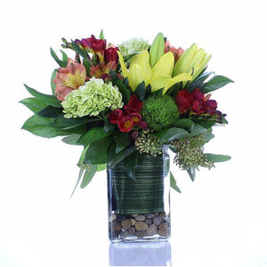 Impressions - Blooms of Paradise