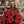 Load image into Gallery viewer, Classic 10-inch red poinsettia plant for festive Christmas decor0
