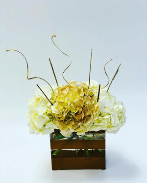 Luxurious Gold Hydrangea - Blooms of Paradise