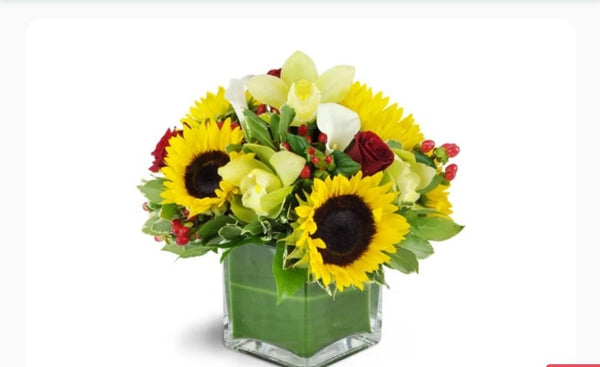 Luxury in bloom - Blooms of Paradise