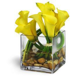 Modern Exuberance Flowers Delivery with Blooms Of Paradise