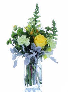 Morning Sun in a Mason Jar - Blooms of Paradise