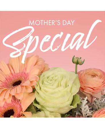 Mother's Day Special Flowers Blooms Of Paradise