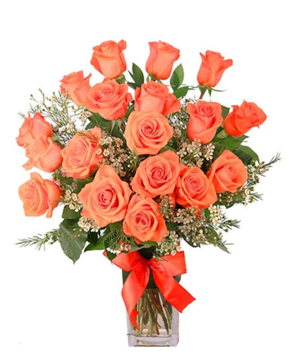 ORANGE ADMIRATION - Blooms of Paradise