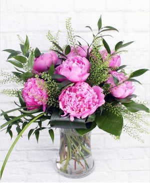Peony Sensation - Blooms of Paradise