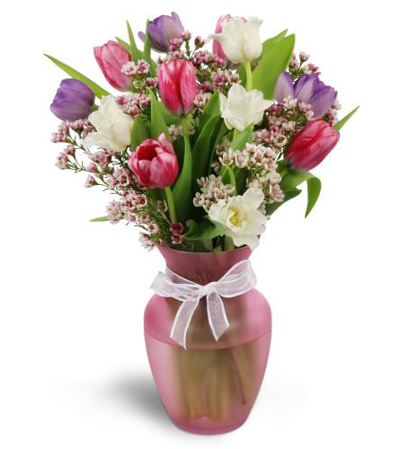 Perfect Spring - Blooms of Paradise