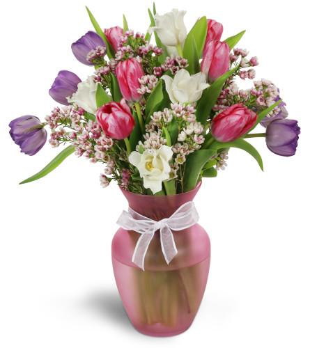 Perfect Spring - Blooms of Paradise