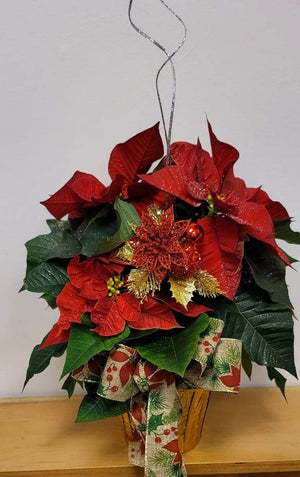 RED POINSETTIA - Blooms of Paradise