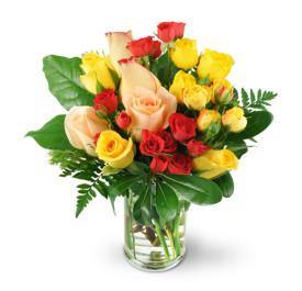 Rose Delight - Blooms of Paradise