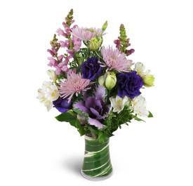 Royal Allure - Blooms of Paradise