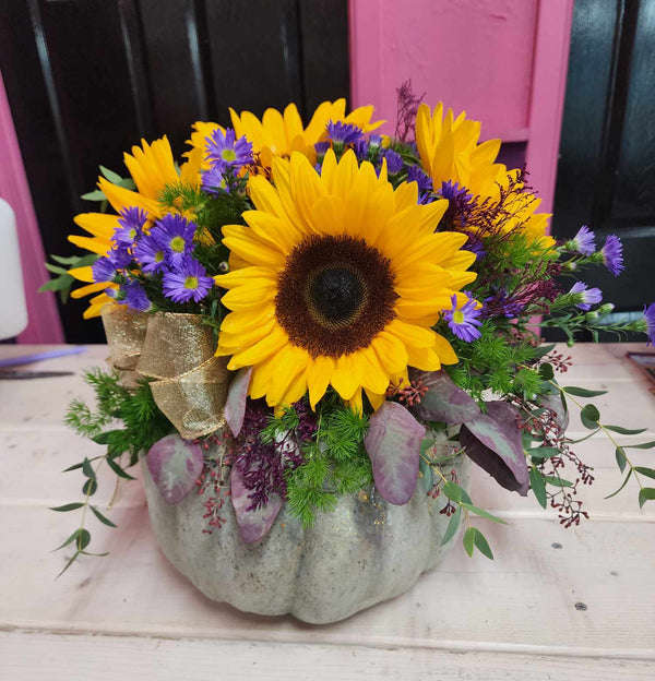 Sunflowers Moon - Blooms of Paradise Cambridge