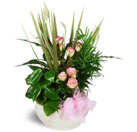 Sweet Memories Planter - Blooms of Paradise