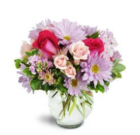 Sweet Surprise - Blooms of Paradise