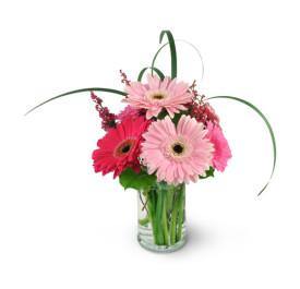 Think Pink! - Blooms of Paradise