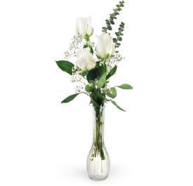 Three White Roses - Blooms of Paradise