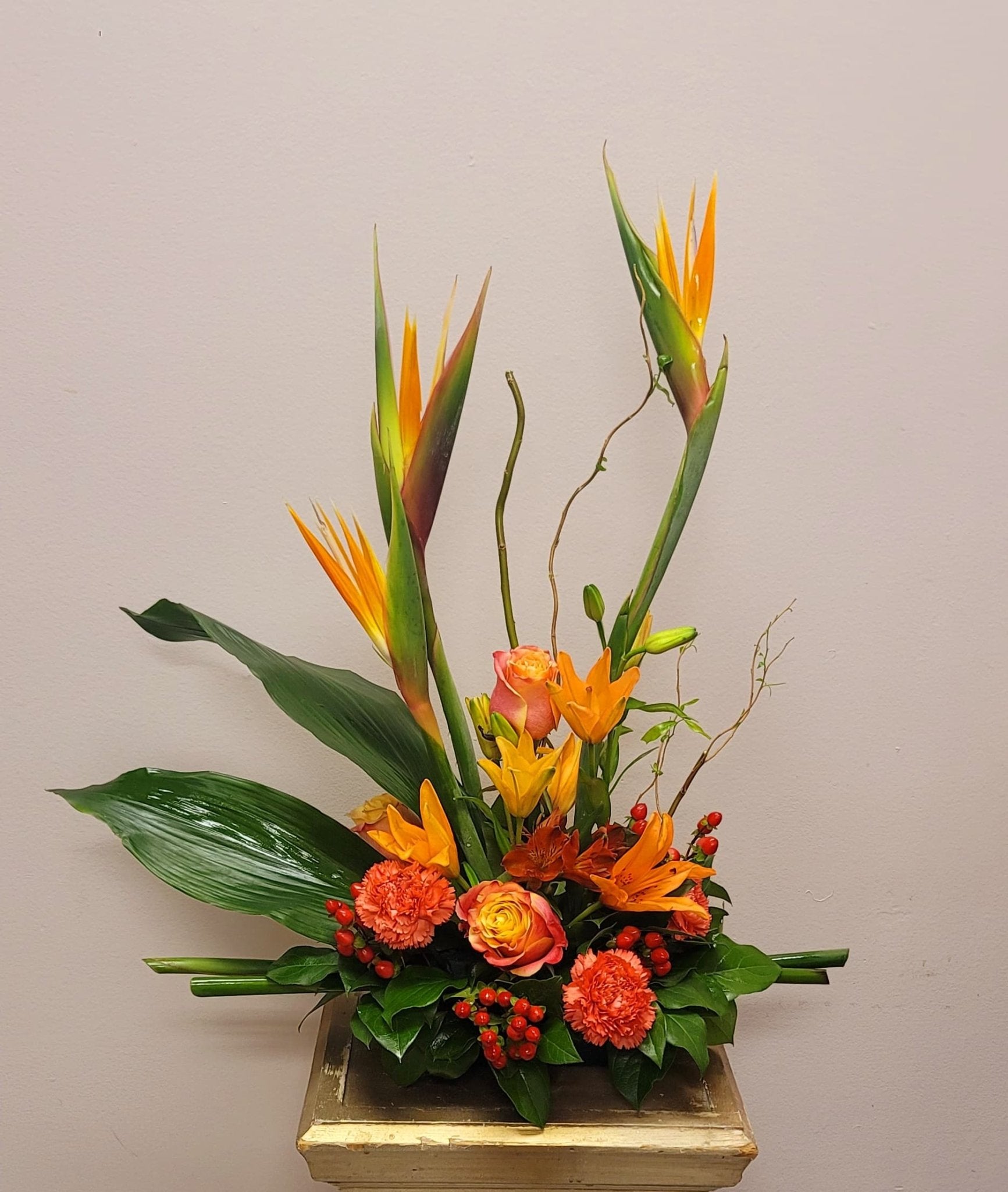 TROPICAL BIRDS OF PARADISE –