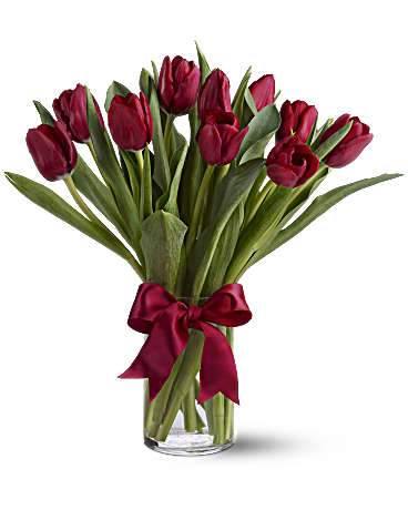 Tulips Of Love - Blooms of Paradise