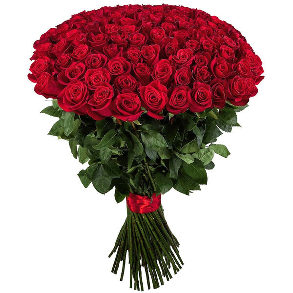 Wild For Your Roses - Blooms of Paradise