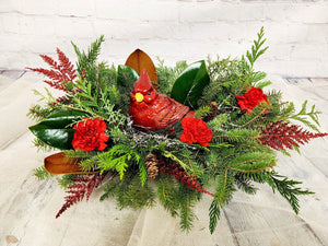 Winter Bird - Blooms of Paradise