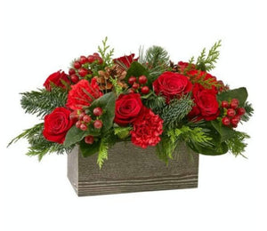 WINTER WARMTH - Blooms of Paradise