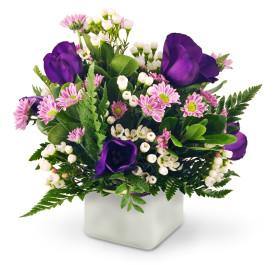 Wishes and Kisses - Blooms of Paradise